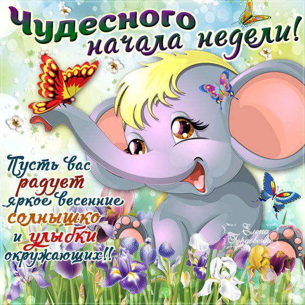 Открытка хорошей рабочей недели. Удачной недели пожелания. Удачной недели гиф.