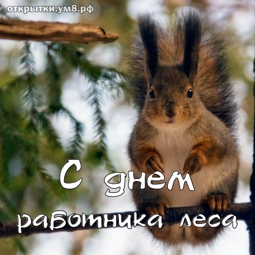 Открытки С днём работников леса. Открытки С днём работников леса анимация.