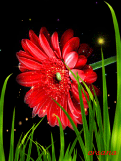 Открытка мерцающая 3 гербера оранжевый, розовый, и ярко малиновый Гербер.