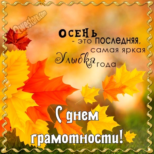 Открытка с анимацией день грамотности. Открытки с совами на день грамотности.