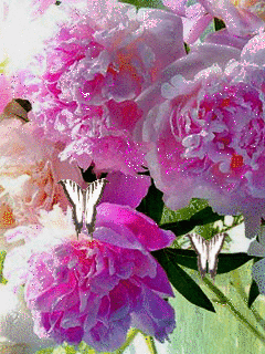 Открытка с днём рождения с розовыми пионами. Открытка с ярко малиновые пионам...