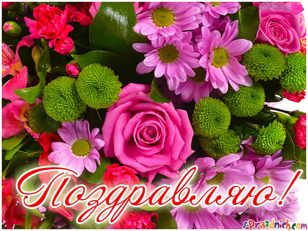  Как открытка поздравляю тебя с мишкой Тедди. Открытка Поздравляю с розовой р...