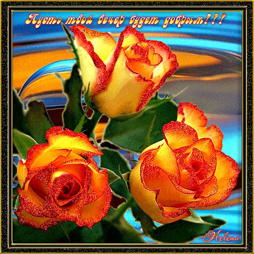 Скачать красивые розы желтые. Желтые розы сорта фото. Желтые розы фото в хоро...