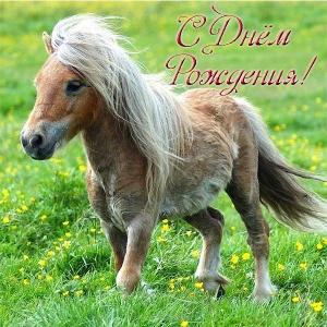 Новогодние открытки с лошадьми. Прикольные открытки с лошадью.