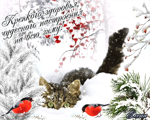 Открытки с добрыми пожеланиями. Открытки с пожеланиями. Открытки с пожеланием...