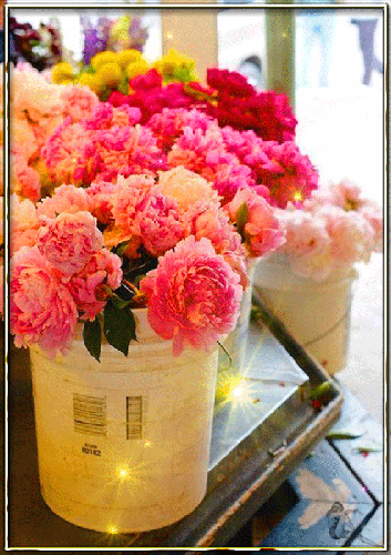 Открытки С днем рождения с пионами женщине. Открытка с днем рождения с пионам...