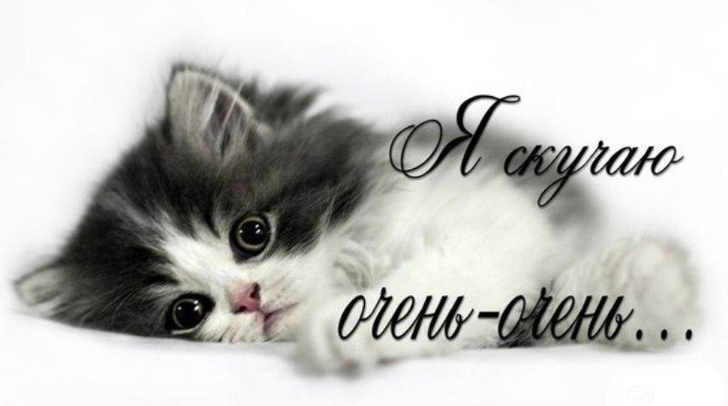 Открытки я скучаю без тебя. Открытки я скучаю по тебе подруга.