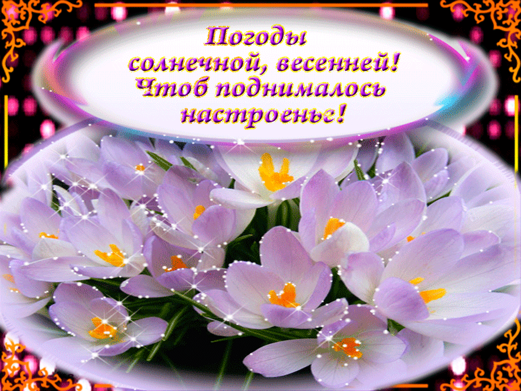 Смешные картинки про холодную погоду. Картинки Погода дождь.