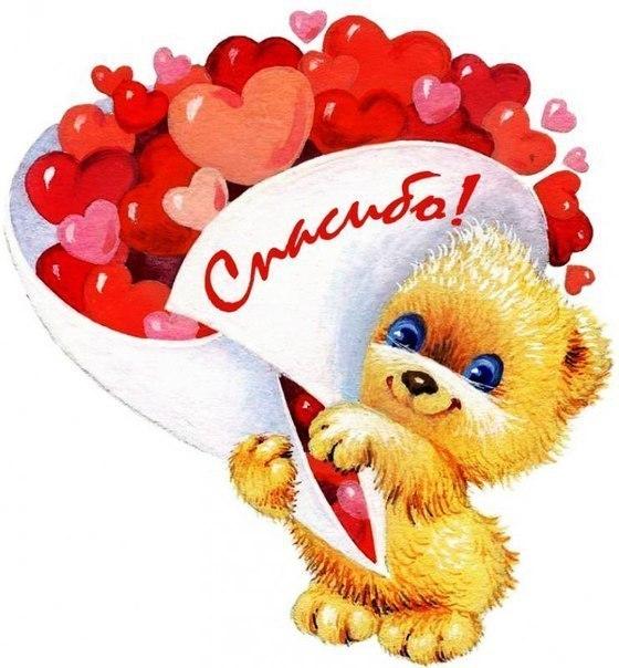 Картинки со словом Спасибо. Картинки Спасибо за внимание смешные.