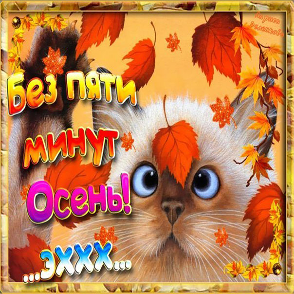 Открытка Поздравляю с первым днём осени! открытка Золотая осень пришла, с пра...