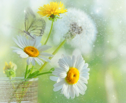 Открытка мерцающая с одуванчиками белыми в стеклянной вазе. 