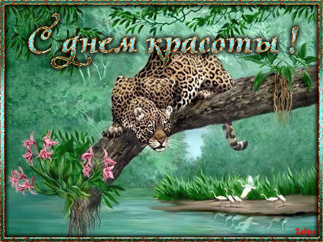 Картинки с днем красоты. Картинки с днем красоты 9 сентября.