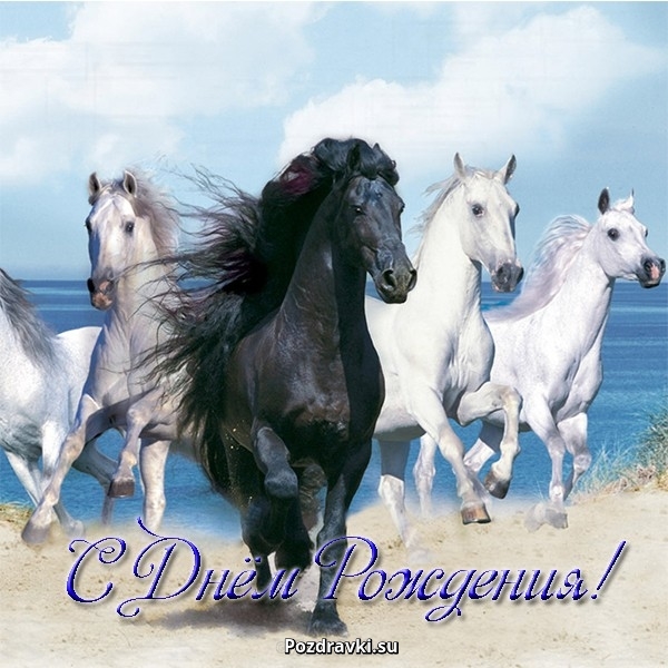 Новогодние открытки с лошадьми. Прикольные открытки с лошадью.