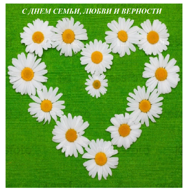 Открытка Зайчик с ромашками. Открытка с ромашками на день рождения.