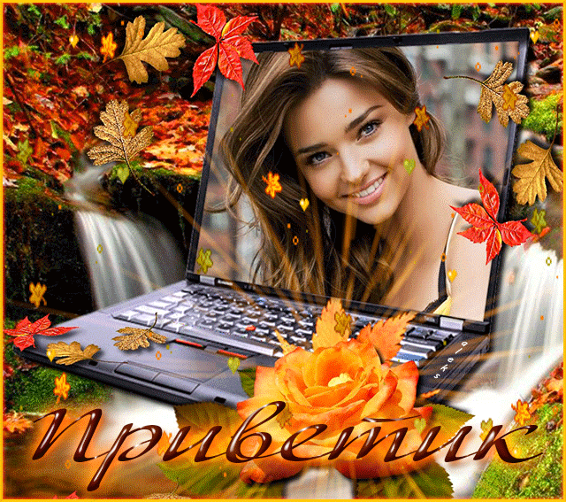 Открыткам пусть каждый день осени наполняется удачи. Открытка с котёнка в осе...