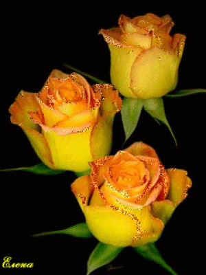 Открытка с жёлтыми розами, Я на день рождения, с пожеланиями Всего тебе самог...