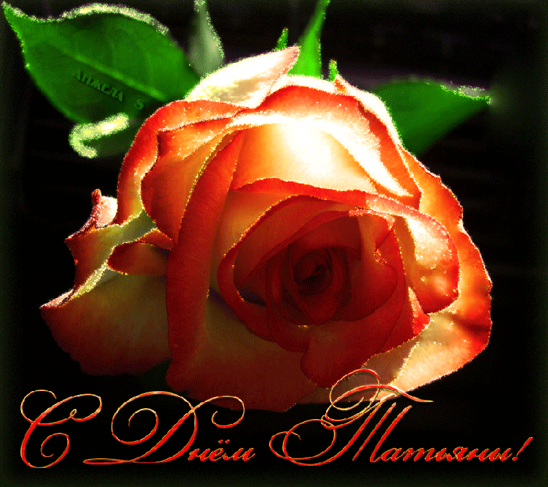  Открытки с Днем Татьяны скачать бесплатно. Картинки с днем Татьяны поздравле...