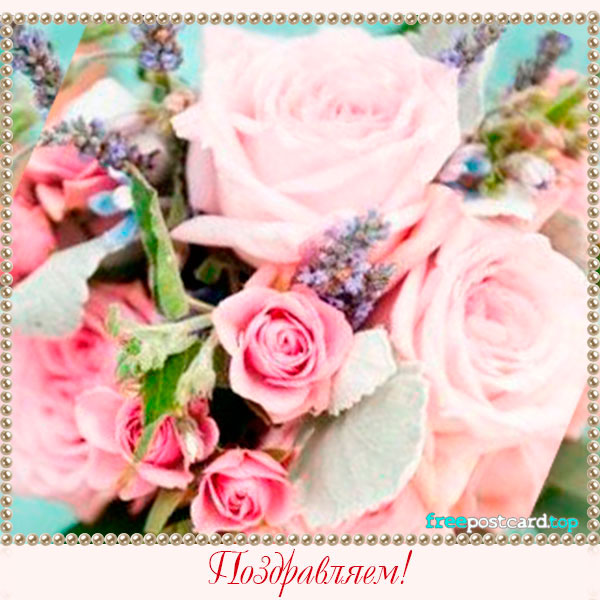 Открытка Поздравляю с белой кремовыми розами, открытка с ярко малиновые розам...