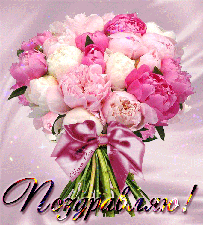 Картинки букетов с пионами. Картинки с пионами. Картинки девушка с пионами. 