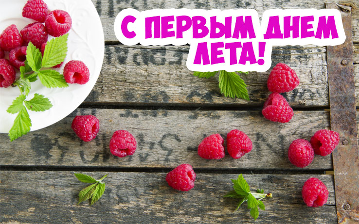 Открытка с котом и букетом цветов С первым днем лето! 