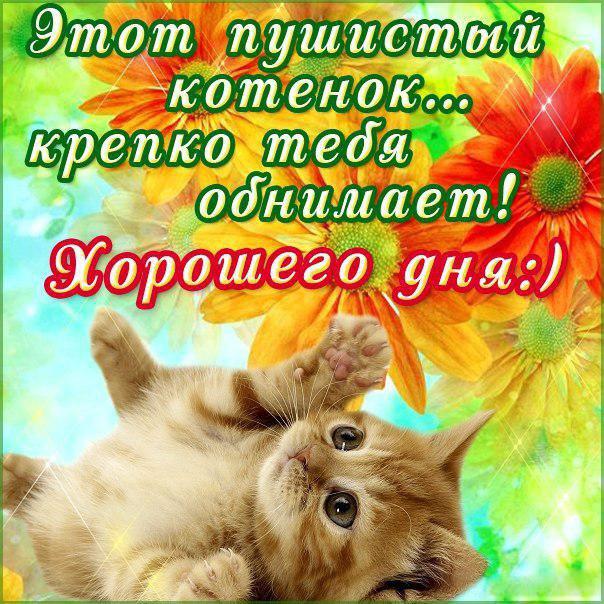 Картинки скучаю обнимаю. картинки обнимаю нежно. Картинки гифки Люблю целую о...