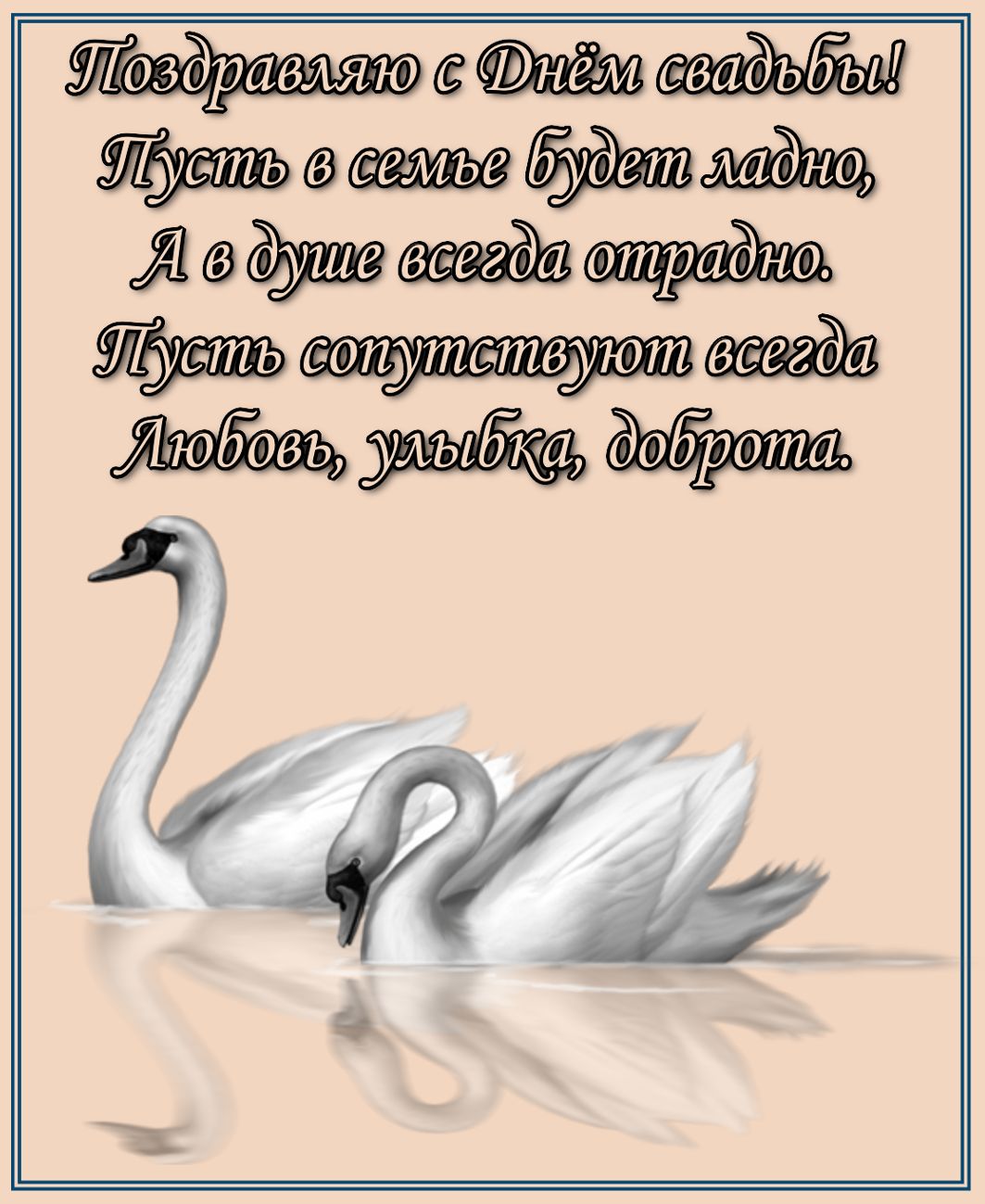 Картинки лебеди с лебедятами. Картинки с двумя лебедями. Картинки изображение...
