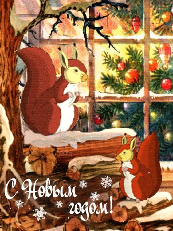 Картинка с белочкой. Красивые картинки с белочками. Смешные картинки с белочк...