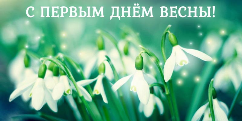 Прикольные поздравления С первым днем весны в картинках. Поздравить С первым ...