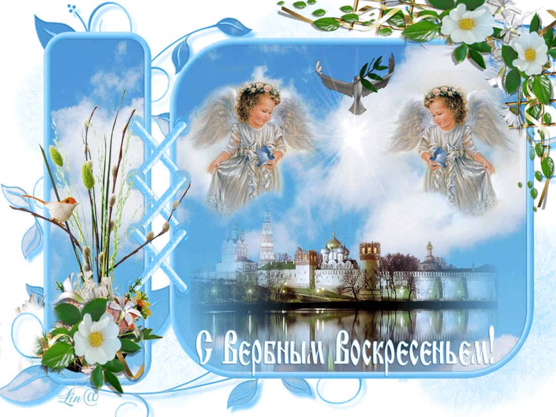 Красивые поздравления с вербным воскресеньем в картинках. Поздравить с вербны...
