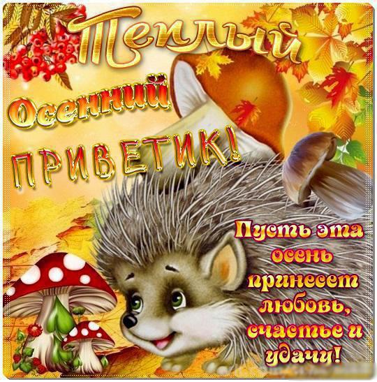 Открытки на каждый день прикольные. Осенний Привет картинки. Открытки кз. Отк...