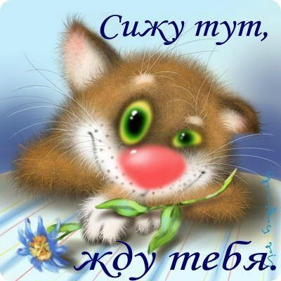 Картинки думаю о тебе. Картинки жду тебя. Картинки я скучаю по тебе скачать.