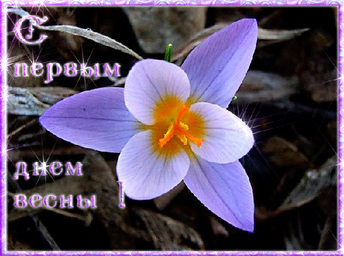 прикольное поздравление С первым днем весны. Открытки С первым днем весны при...