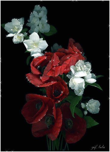 Открытка для Насти ко Дню рождения с множеством красок маков.