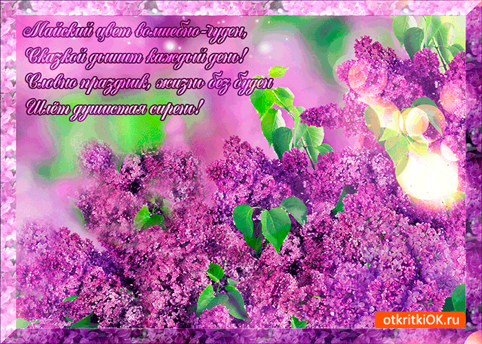 Открытка С Днём рождения С сиренью. Открытка на 1 Мая с сиренью.