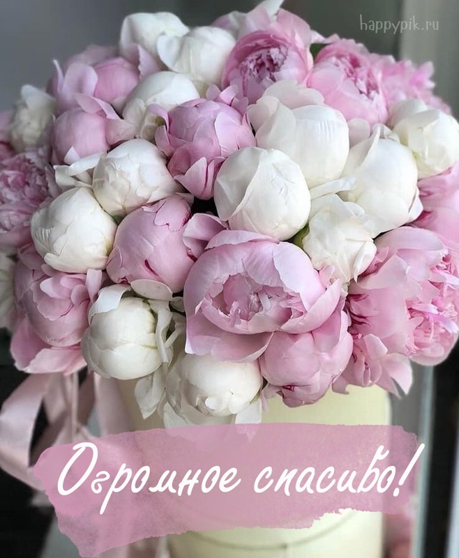 Картинки Спасибо за внимание смешные. Спасибо картинки гиф. Открытка Спасибо ...