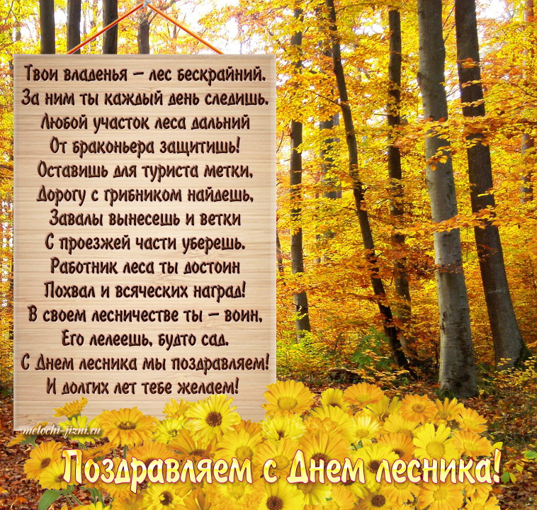 С праздником работники лиса! открытки с берёзками на День работников леса.