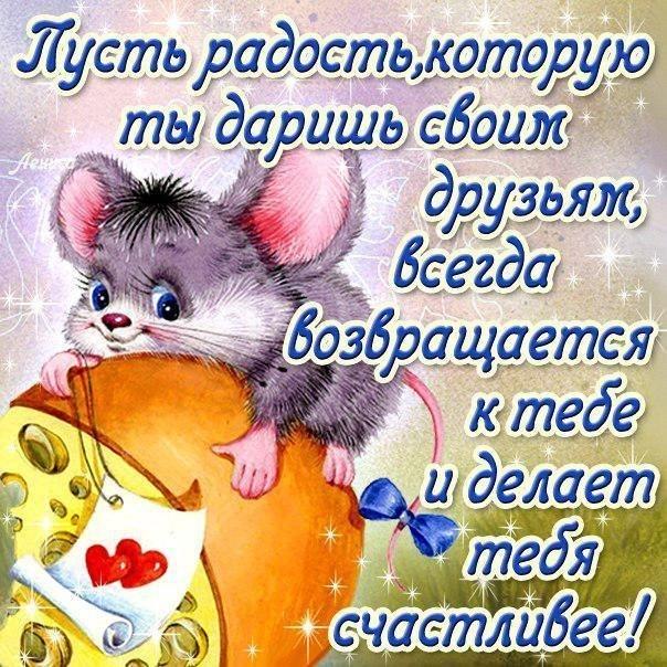 Красивые высказывания о дружбе в картинках. Пословицы о дружбе для детей в ка...