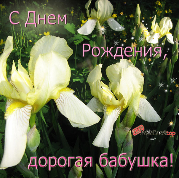 Открытка мерцающая GIF голубой Ирис. Ретро открытка на день рождения с нарисо...