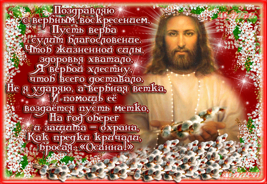 Открытка поздравляю от всей души, с вербным воскресеньем! Открытка мира, добр...