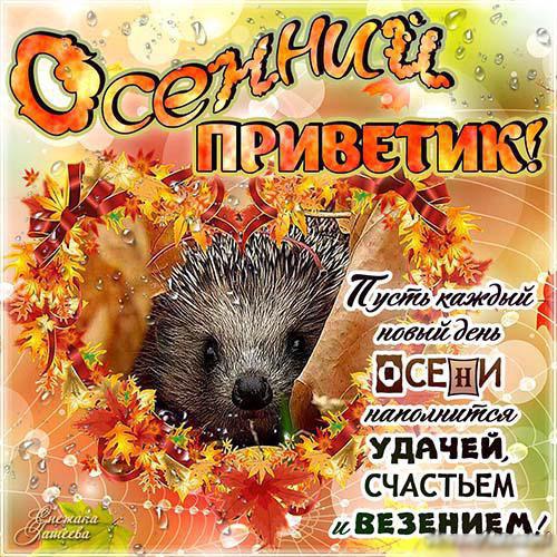 Открытка осенний Привет. Картинки осенний Привет. Картинки скачать бесплатно ...