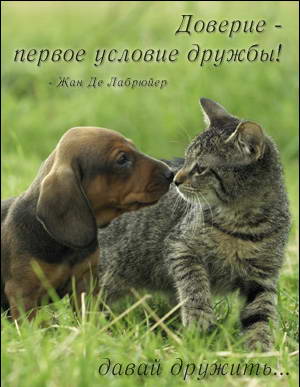 Поздравительная открытка о дружбе. Картинка о дружбе. Картинка с надписью о д...