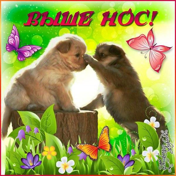 Картинка девушки не грусти. Картинка Не грусти всё будет хорошо.