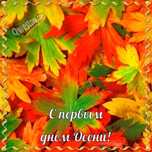 С первым днём осени. Пожелания теплой осени. Открытка с осенними деревьями с ...