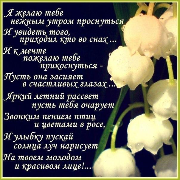 Картинки со стихами про любовь. Картинки со стихами про любовь и чувства. 