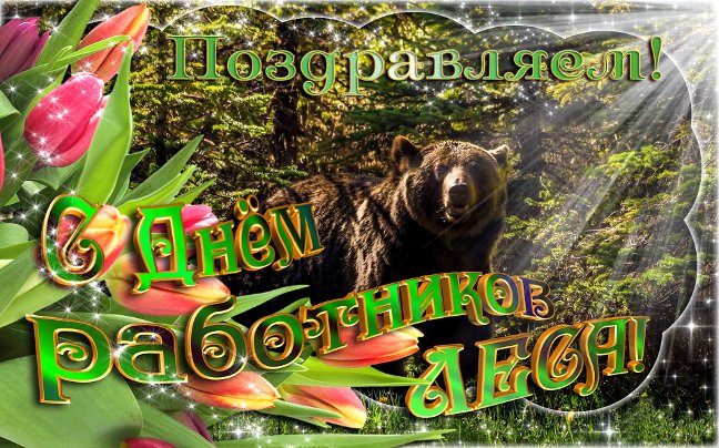 Открытки работников леса. Бесплатные открытки С днём работников леса.