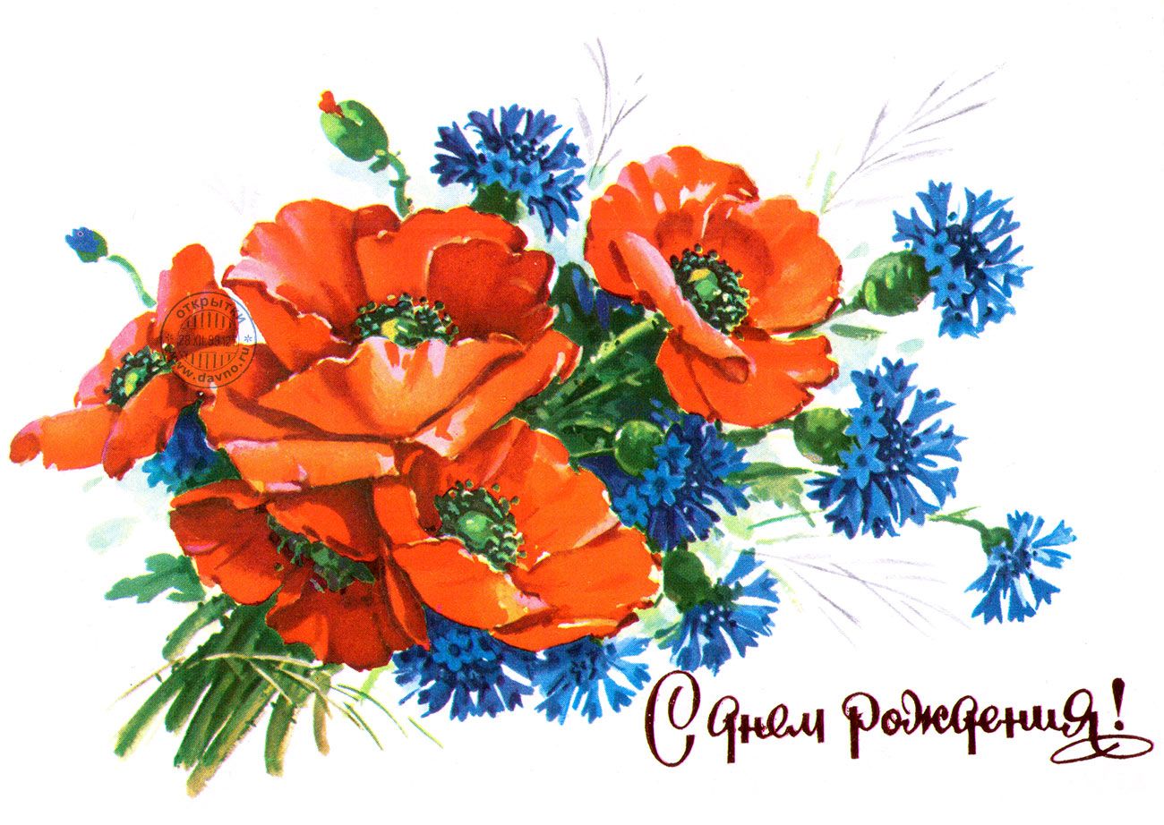 Ретро открытка ко Дню рождения с красными маками, васильками, ромашкой и клев...