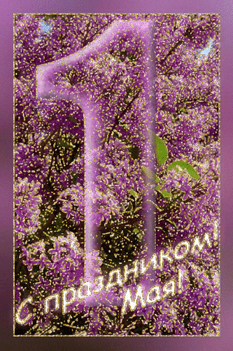 Скачать бесплатно сирень.  Открытки С днём рождения с сиренью.