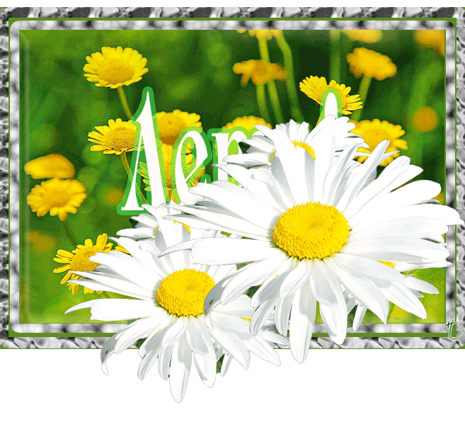 Смешные картинки Скоро лето. Хочу на море смешные картинки. 