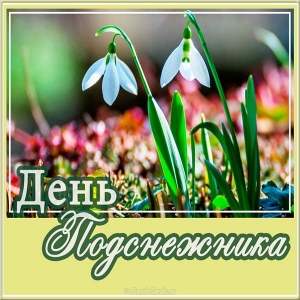 Открытки с Днем рождения подснежники. Показать открытки с Днем подснежника.