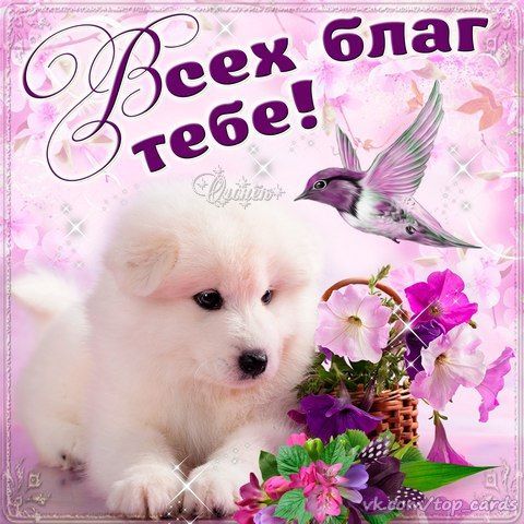 Открытки скачать бесплатно на телефон. Картинки для тебя от души.